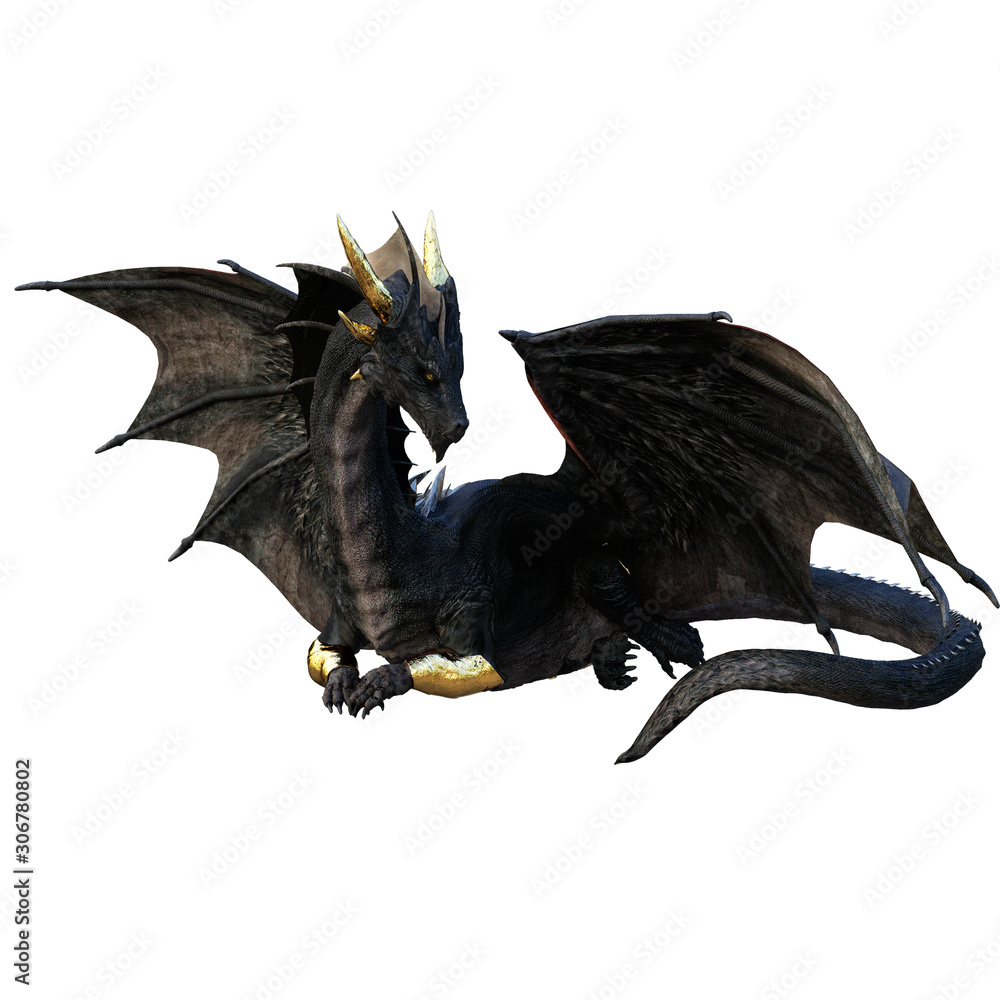 Black dragon sitting dragon fantasy animal mythological creature Stock ...
