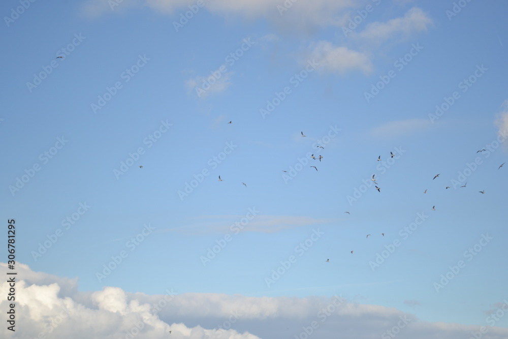 Meereswellen, Himmel, onne und Wolken, Schatten und Licht Meereswellen, Himmel, onne und Wolken, Schatten und Licht