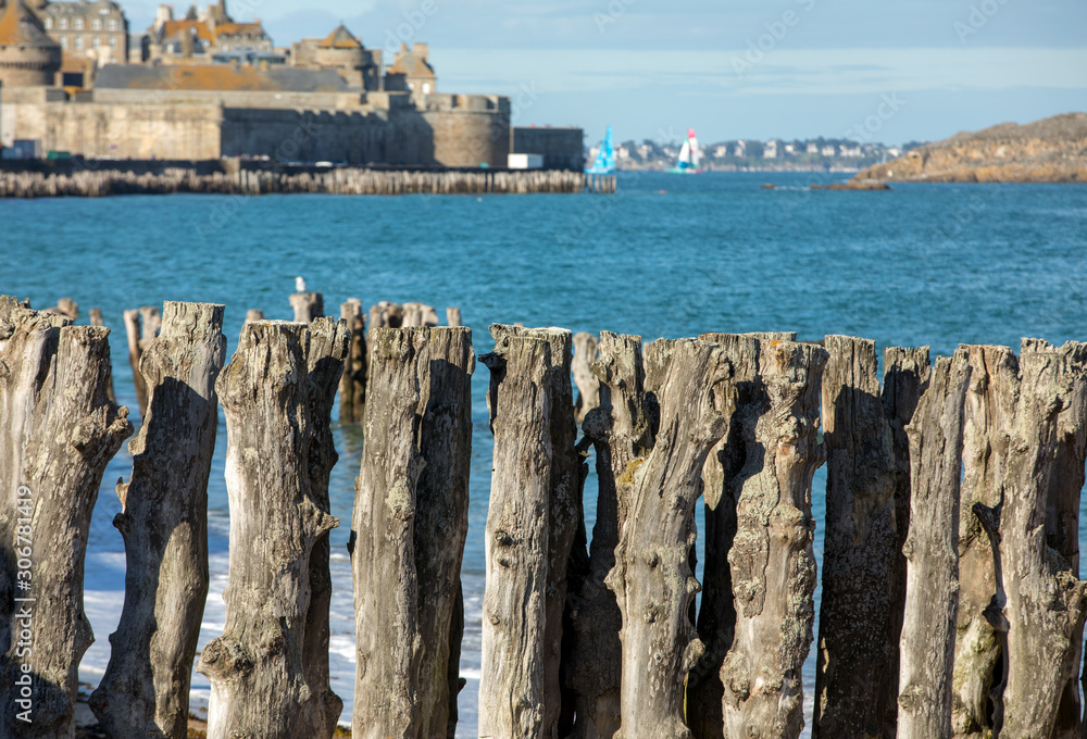 Big breakwater, 3000 trunks to defend the city from the tides, Plage de l'Éventail beach in Saint-Malo, Ille-et-Vilaine, Brittany,