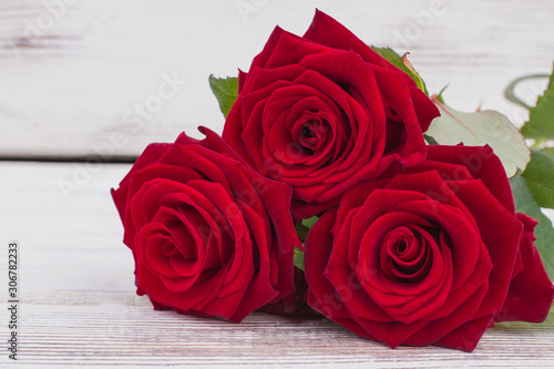 Red roses background. Beautiful red flowers on white background. Fresh flowers for Mathers Day.