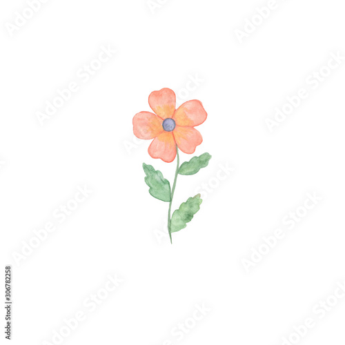 A fancy tender pink flower on the white background  floral ornament
