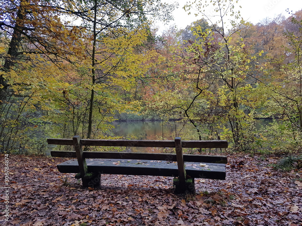 Bank am Weiher