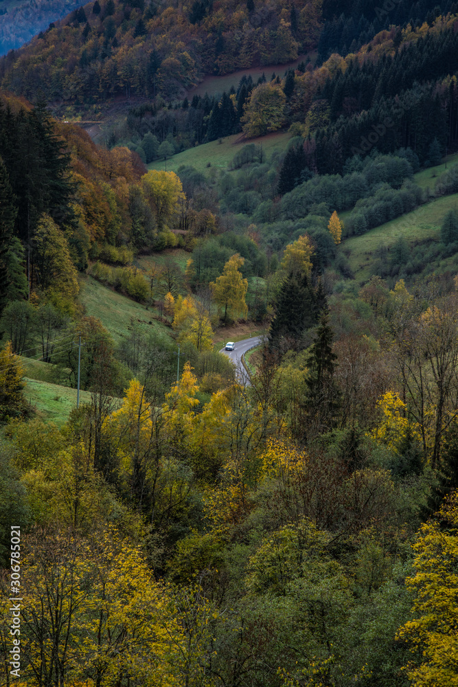 Deutschland, endlose Waldlandschaft des Schwarzwald Natur wandern Landschaft 