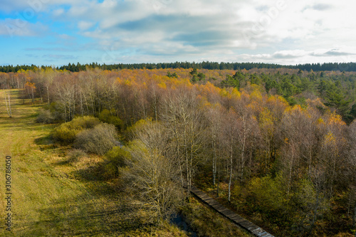 Autumn trees  from above with a path and  brook in the Black Moor in  Germany