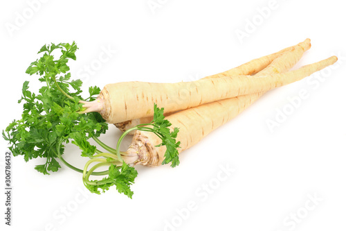 fresh parsley root isolated on white background