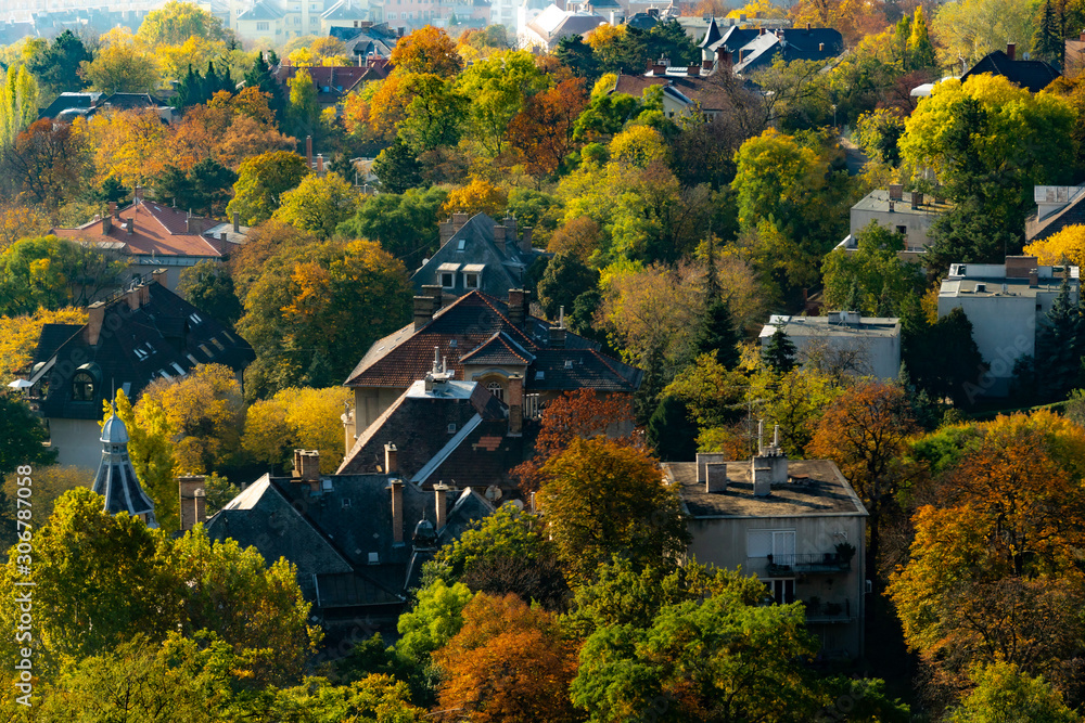 Naklejka premium Picturesque autumn view over trees and houses in Budapest, taken from Gellert Hill Citadel, Budapest.