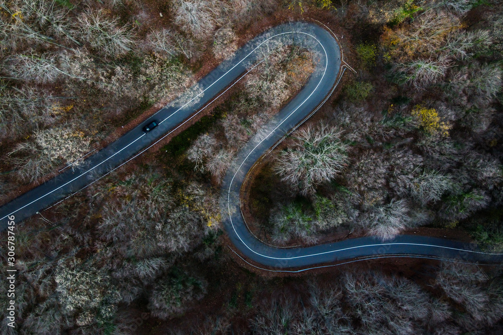 aerial view of the road in forest