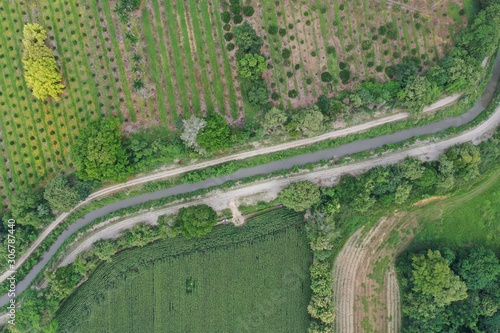 Aerial cenital photo of harvest of mango and corn looks like a background and with geometric forms photo