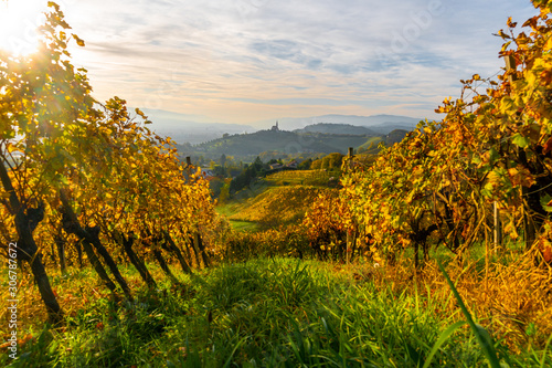 Fototapeta Naklejka Na Ścianę i Meble -  Landscape view over rusty vineyards and hills in Styria, Austria.