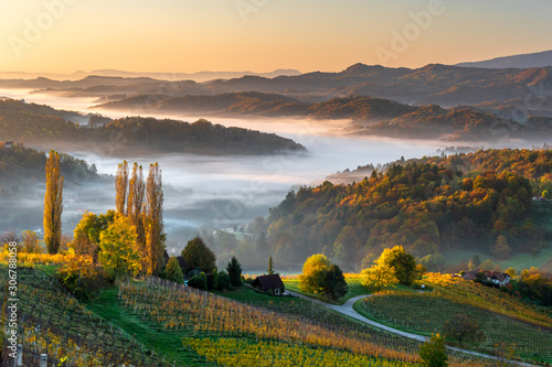 Vineyard valley skyline in Styria, at sunrise, fall 2019.