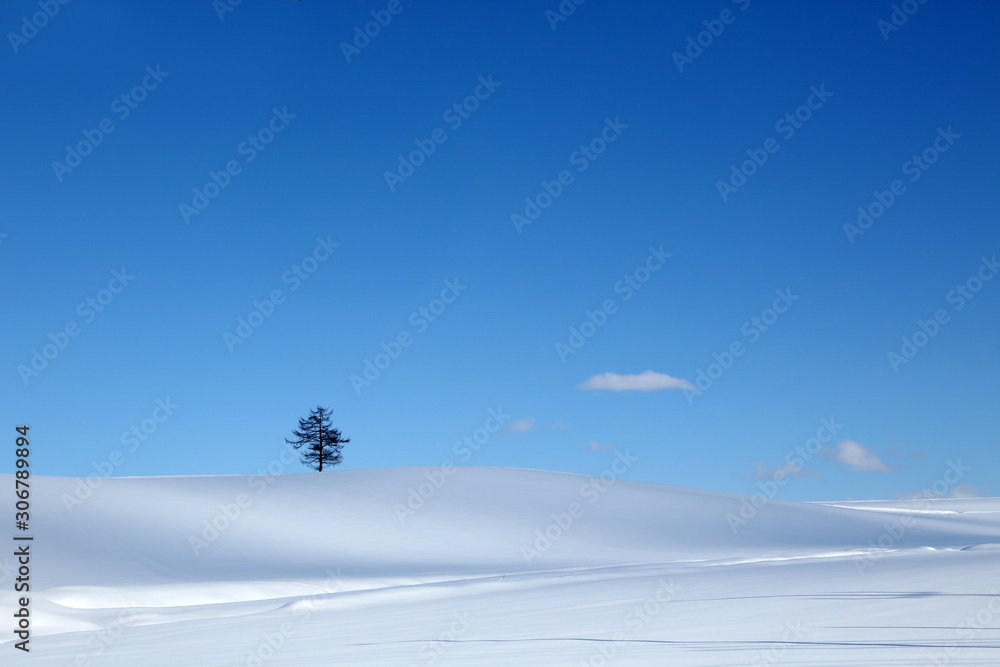北海道の雪景色 北海道の雪景色