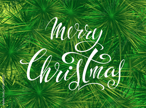 Merry Christmas! Congratulatory poster with festive seasonal paraphernalia and lettering. Vector image.