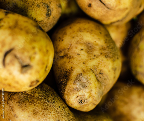fresh potatoes (ID: 306790257)