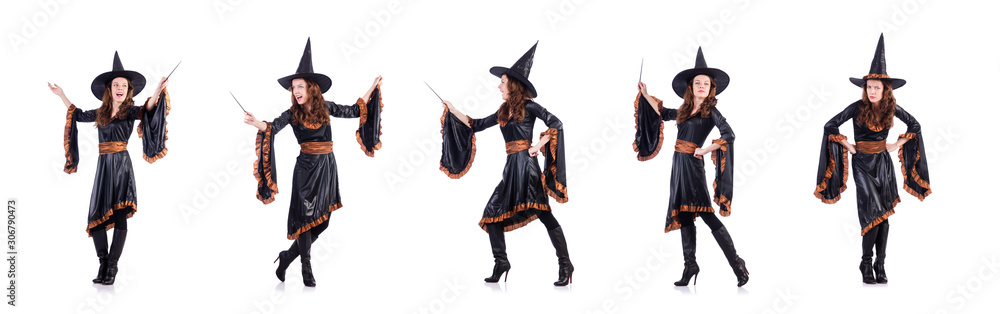 Witch isolated on the white background Witch isolated on the white background