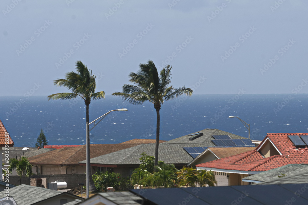 Rooftops in Wailea on Maui. 