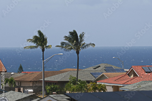 Rooftops in Wailea on Maui. 