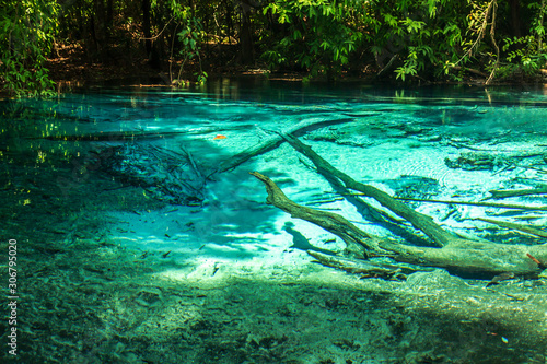 Emerald Pool Krabi rainforest Thailand