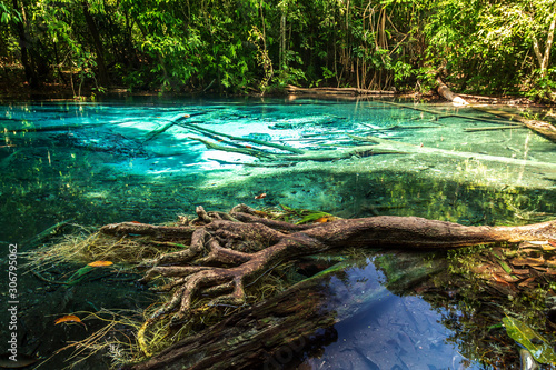Emerald blue pool (Sra Morakot) Krabi Thailand.
