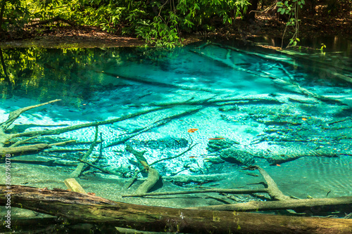 Fototapeta Naklejka Na Ścianę i Meble -  Emerald Pool Krabi Province, Thailand