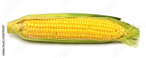 One corn isolated on white background. Top view, flat lay