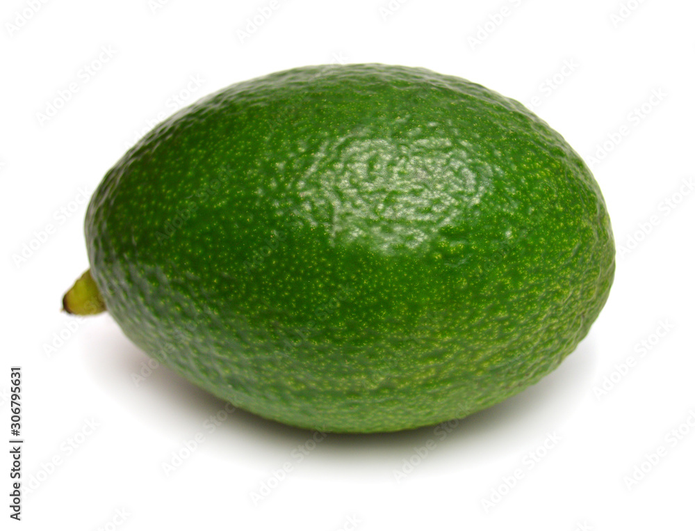 Avocado isolated on a white background Avocado isolated on a white background