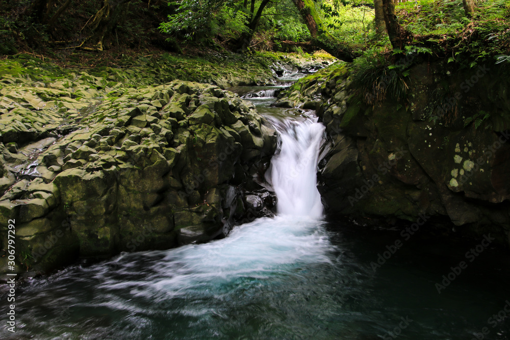 Obraz premium 河津七滝