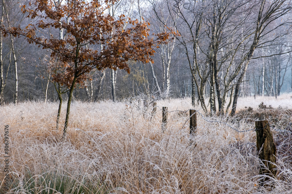 Naturschutzgebiet Zwillbrocker Venn im Winter