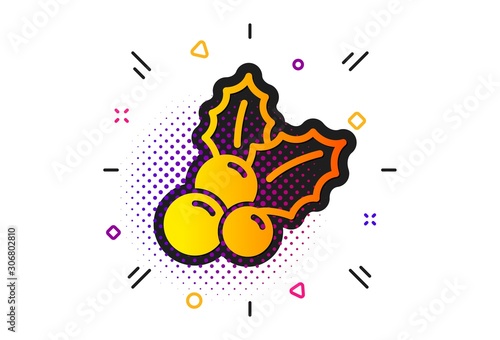 Ilex aquifolium sign. Halftone circles pattern. Christmas holly icon. Classic flat christmas holly icon. Vector
