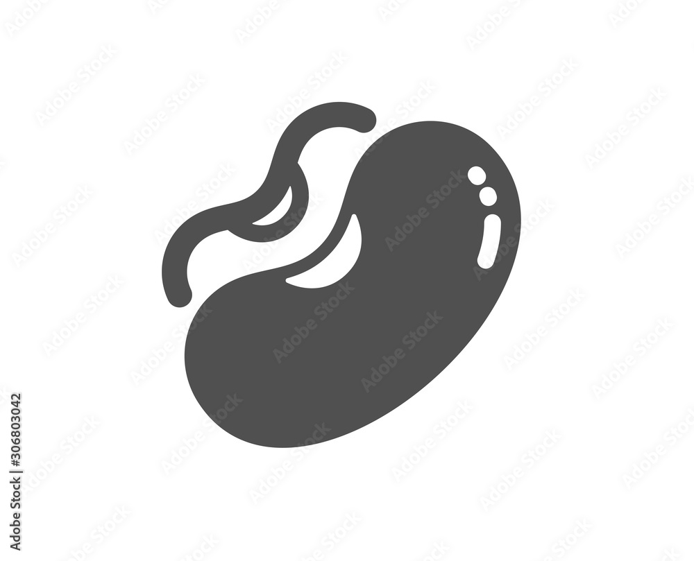 Tasty seed sign. Beans icon. Vegan food symbol. Classic flat style. Simple beans icon. Vector Tasty seed sign. Beans icon. Vegan food symbol. Classic flat style. Simple beans icon. Vector