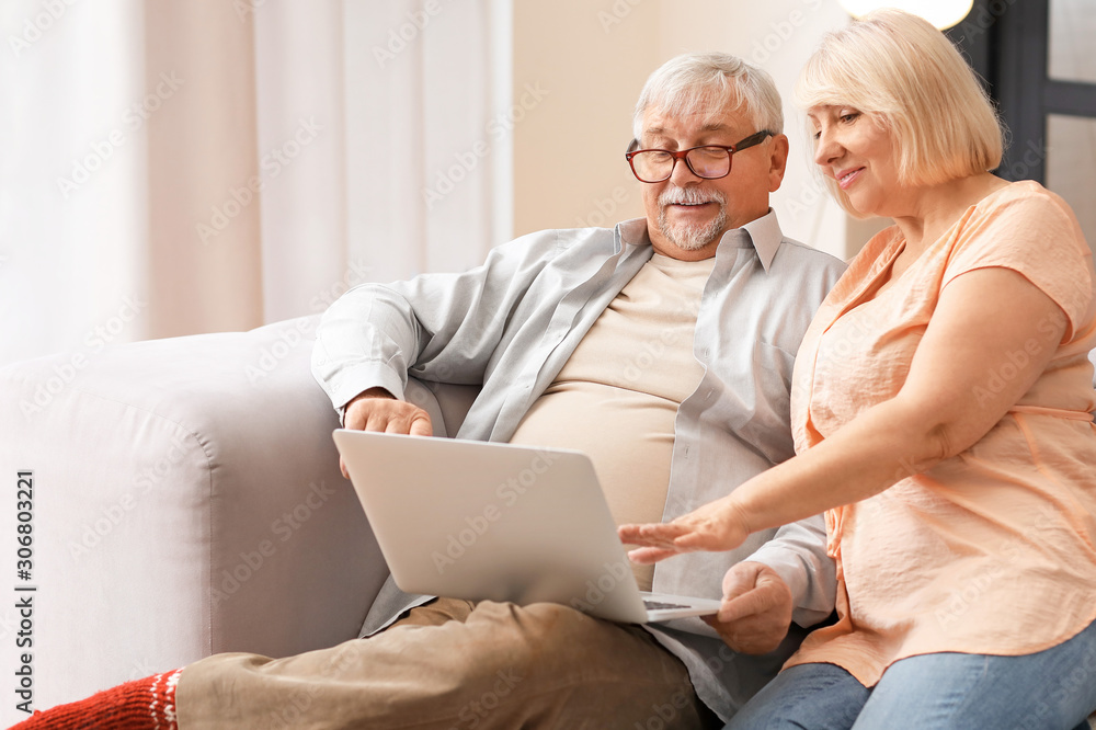 Mature couple with laptop resting at home