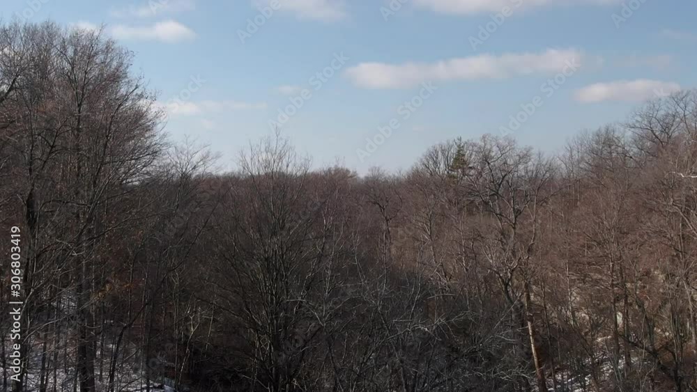 Aerial winter reveal over trees of vineyards in Niagara region Ontario Aerial winter reveal over trees of vineyards in Niagara region Ontario