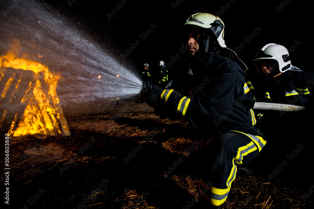 Fototapeta premium Fire service team