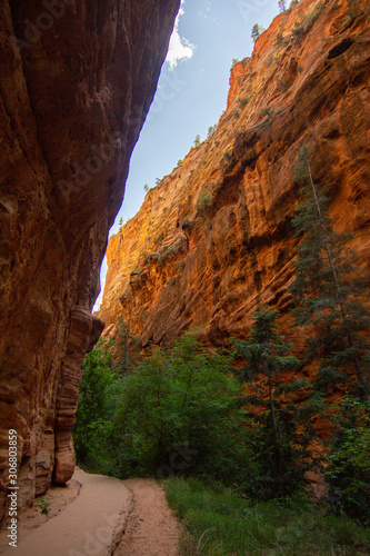 Hiking Path with Tall Red Canyon Cliffs and Green Trees © Laura Rachfalski