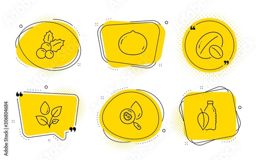 Christmas holly, Macadamia nut and Water bottle signs. Chat bubbles. Plants watering, Water analysis and Soy nut line icons set. Aqua bacteria, Vegetarian food, Ilex aquifolium. Vector