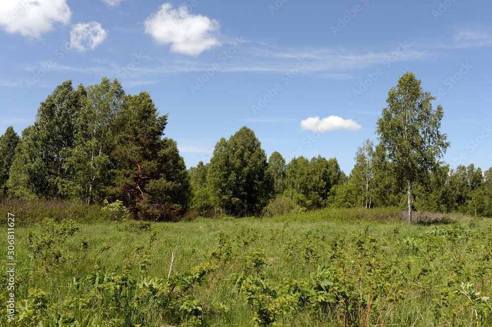 Summer landscape near lake Krasilovo in the Altai territory.Western Siberia. Russia Summer landscape near lake Krasilovo in the Altai territory.Western Siberia. Russia