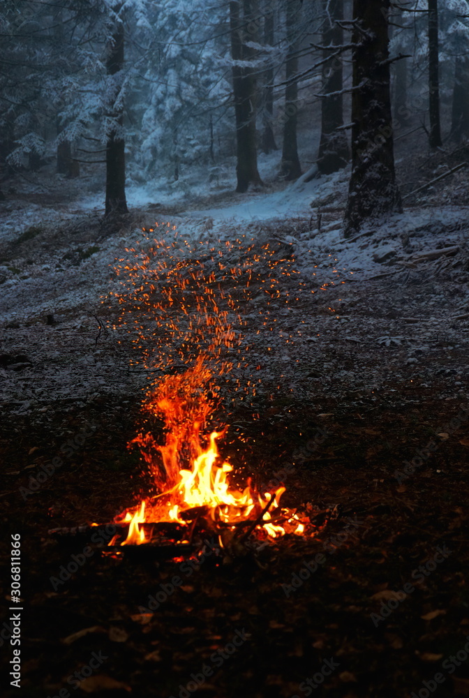 A fire burned by scouts in the depths of the forest. A fire burned by scouts in the depths of the forest.