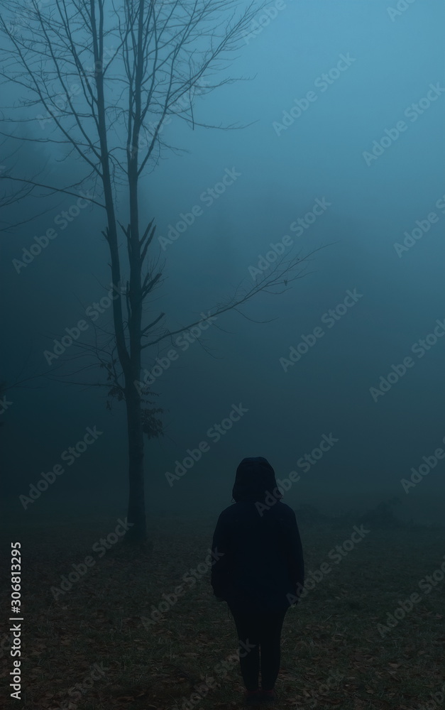 Fototapeta premium In desolation you need to find a way.