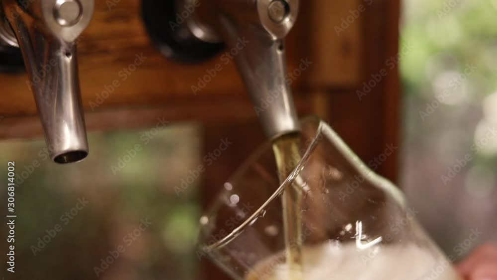 Bartender pouring beer into glass with bubbles close up Bartender pouring beer into glass with bubbles close up