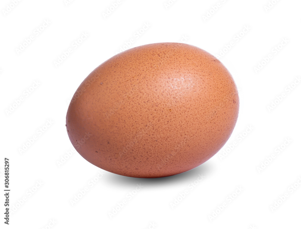 egg fresh raw isolated on white background egg fresh raw isolated on white background