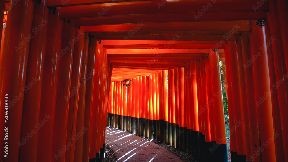 Fototapeta premium Fushimi Inari Shrine Torii gates. Kyoto Japan Art and architecture