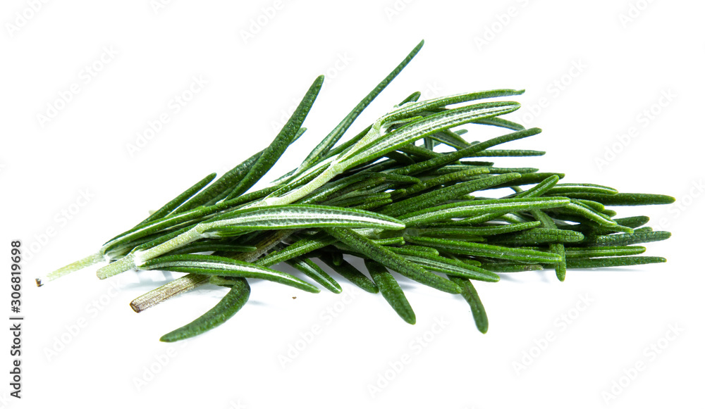 Fototapeta premium rosemary isolated on white background (Mix, set , collection)