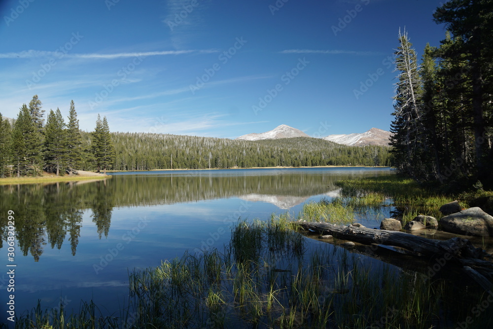 Fototapeta premium Yosemite and surrounds