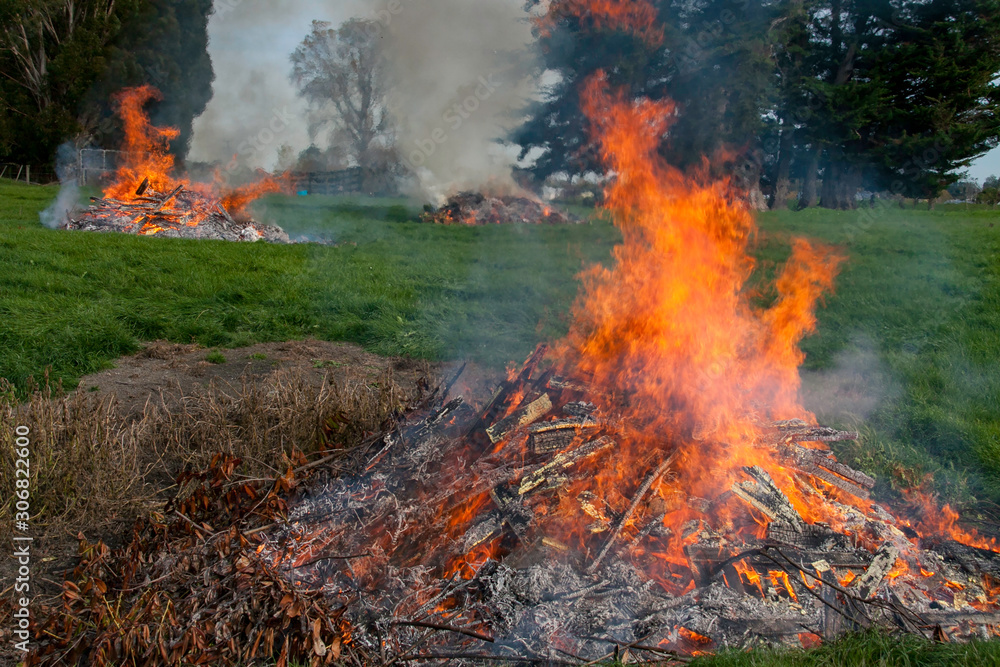 Multiple burn piles getting rid of the rubbish and garden cuttings on the paddock at the farm Multiple burn piles getting rid of the rubbish and garden cuttings on the paddock at the farm