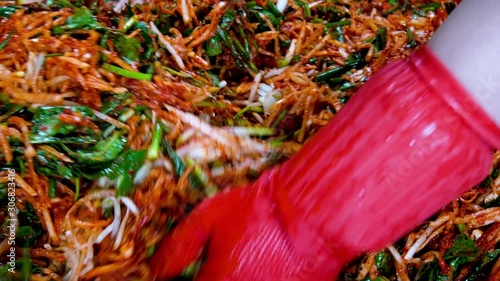 Korean food : Kimchi seasoning. It is the process of making kimchi seasoning. Mix together the ingredients for the kimchi.