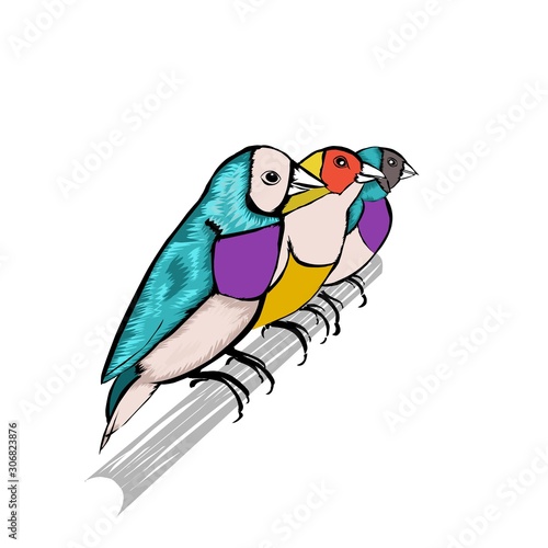 Bird on a branch