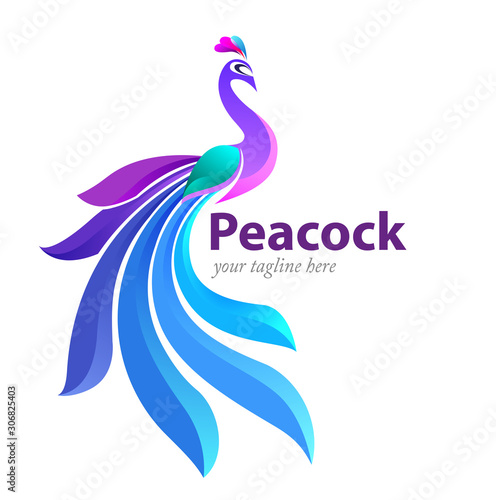 Vector illustration, modification of peacok as a symbol or icon.