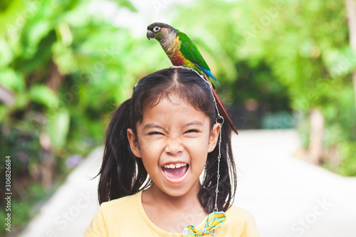 Photography Beautiful little parrot birds standing on child head