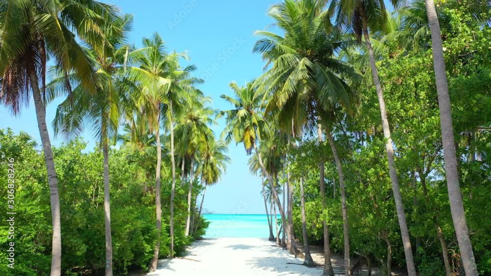 Tall palm trees bent over narrow sandy path between lush vegetation of tropical island until coastline with white exotic beach and turquoise lagoon in Maldives Tall palm trees bent over narrow sandy path between lush vegetation of tropical island until coastline with white exotic beach and turquoise lagoon in Maldives