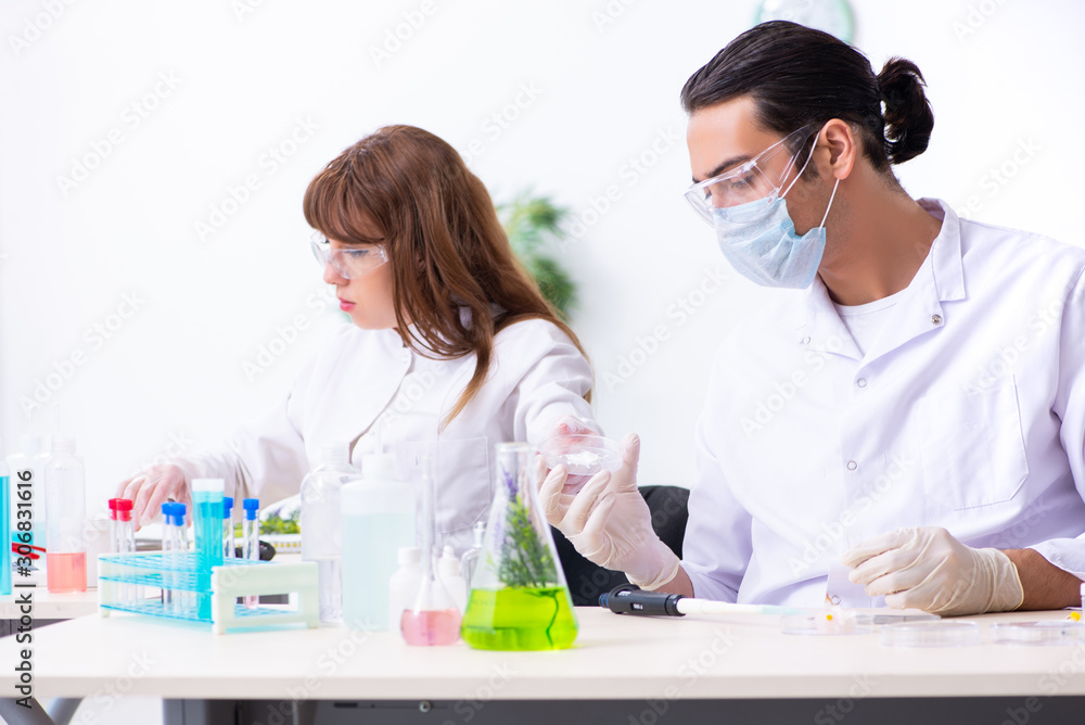 Two chemists working in the lab Two chemists working in the lab