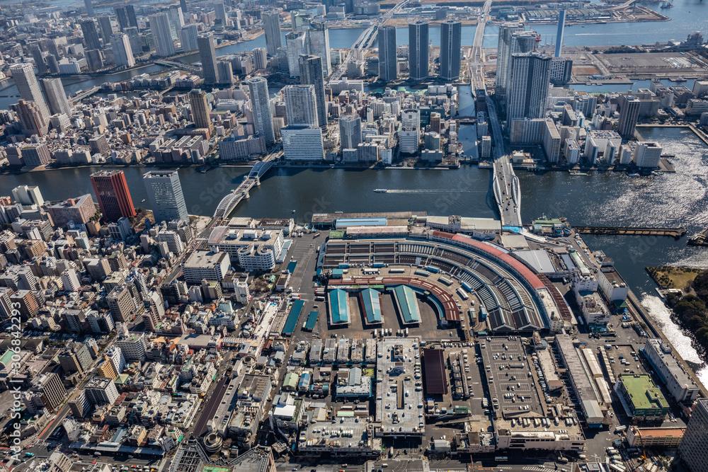 Naklejka premium 現役時代の築地市場